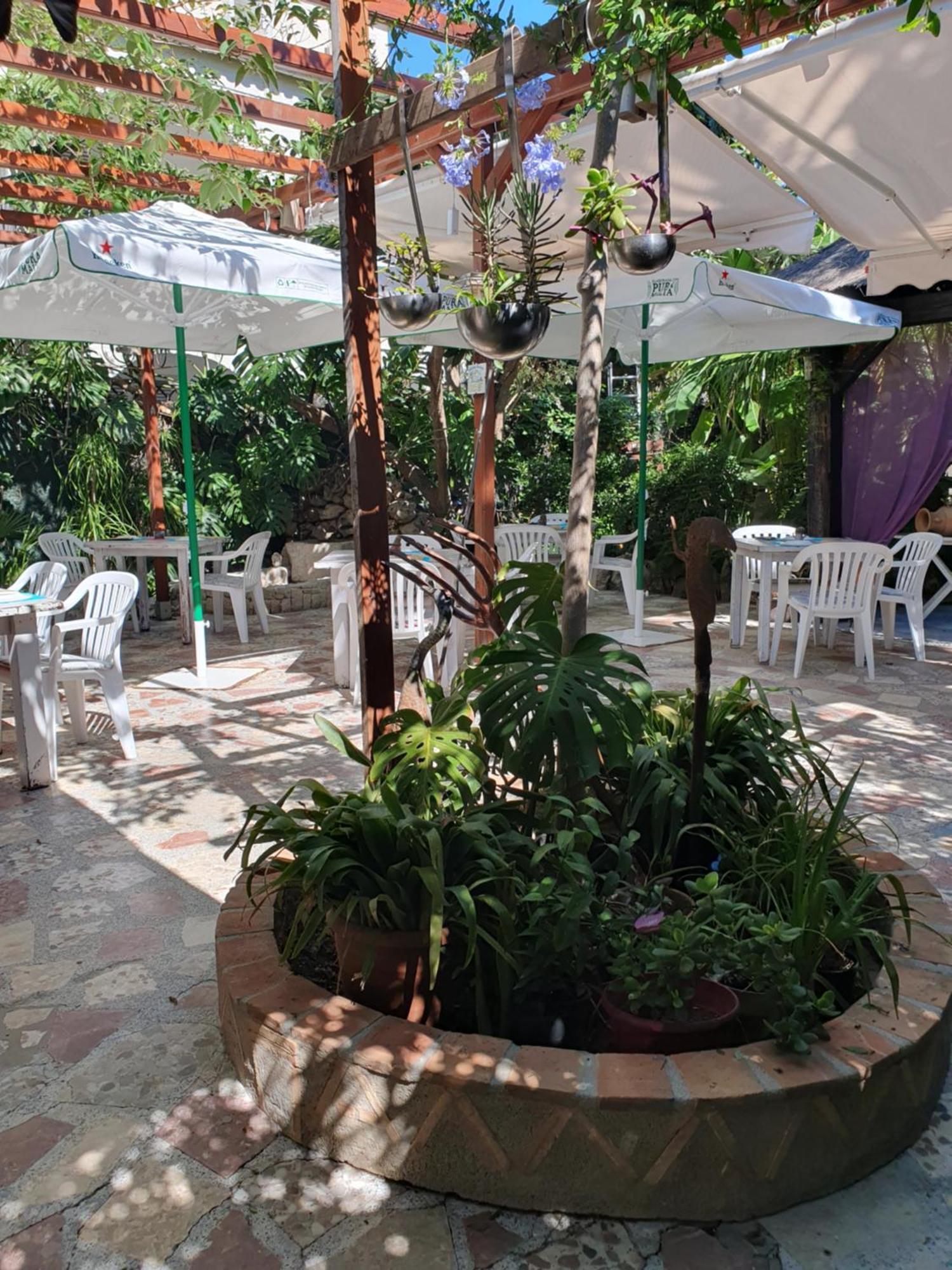 Hostal Mi Campana Dénia Eksteriør billede